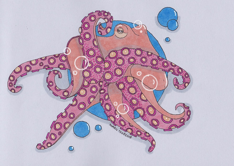 octopus