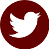icons8-twitter-90 (1)