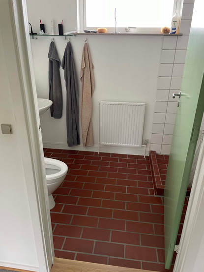 toilet med brunt gulv og grøn dør