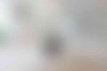 lyst køkken med ovn, træbordplade og hylder