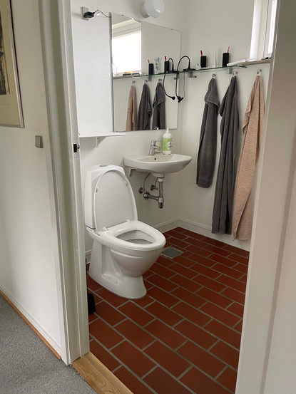 toilet med brunt klinkegulv