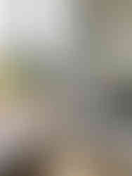 grå sofa med puder og terrasse