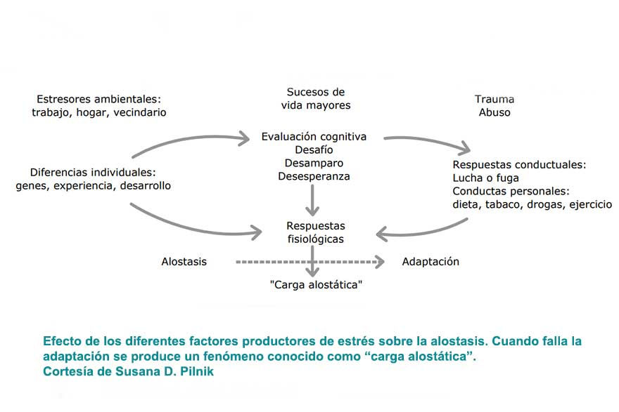 Prevenir la depresión reduciendo la carga alostática asociada al estrés. Centro de Psicología Aplicada Maribel Gámez