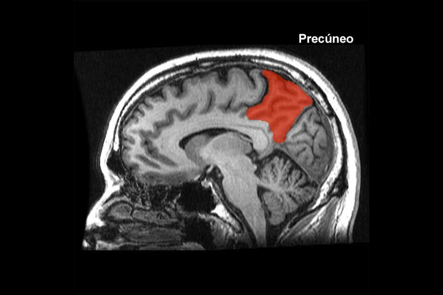 Si lo pienso mucho, ¿lo acabaré haciendo? Centro de Psicología Aplicada Maribel Gámez