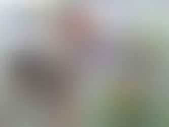 BITTER WOODS Designer Editios, Compass Games