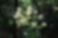 2863546262_9c46b6de4b_b.jpg