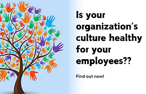 organizational culture.png