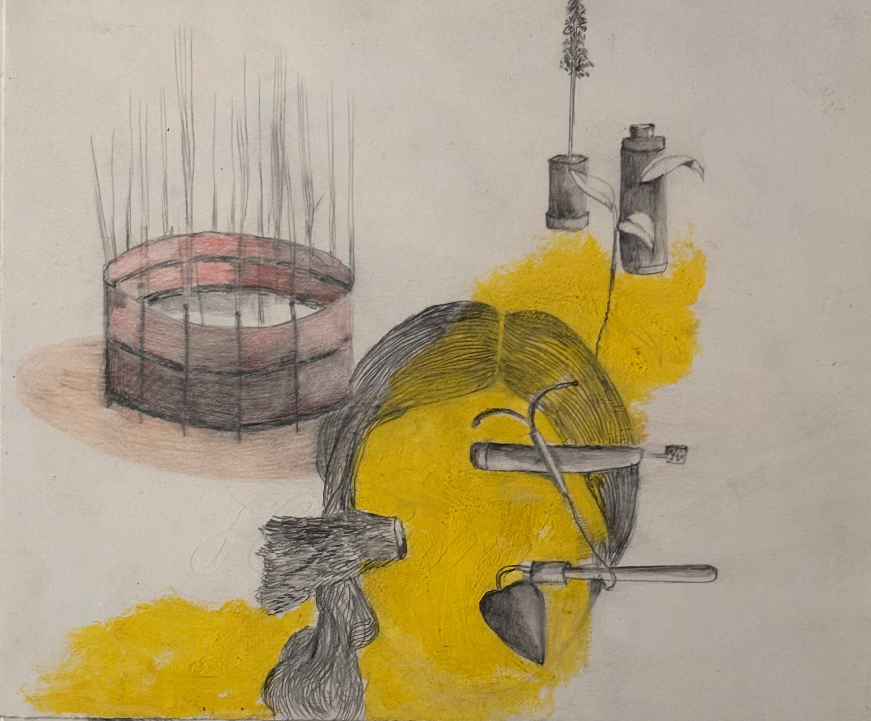 Estelle Lacombe - Dessin