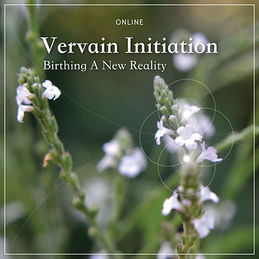 plant spirit healing