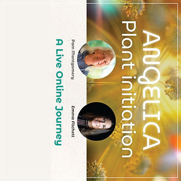 Home-Page-Event-Box-Angelica_edited.jpg