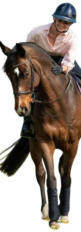 Horse Rider.jpg