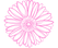 Gerbera.png