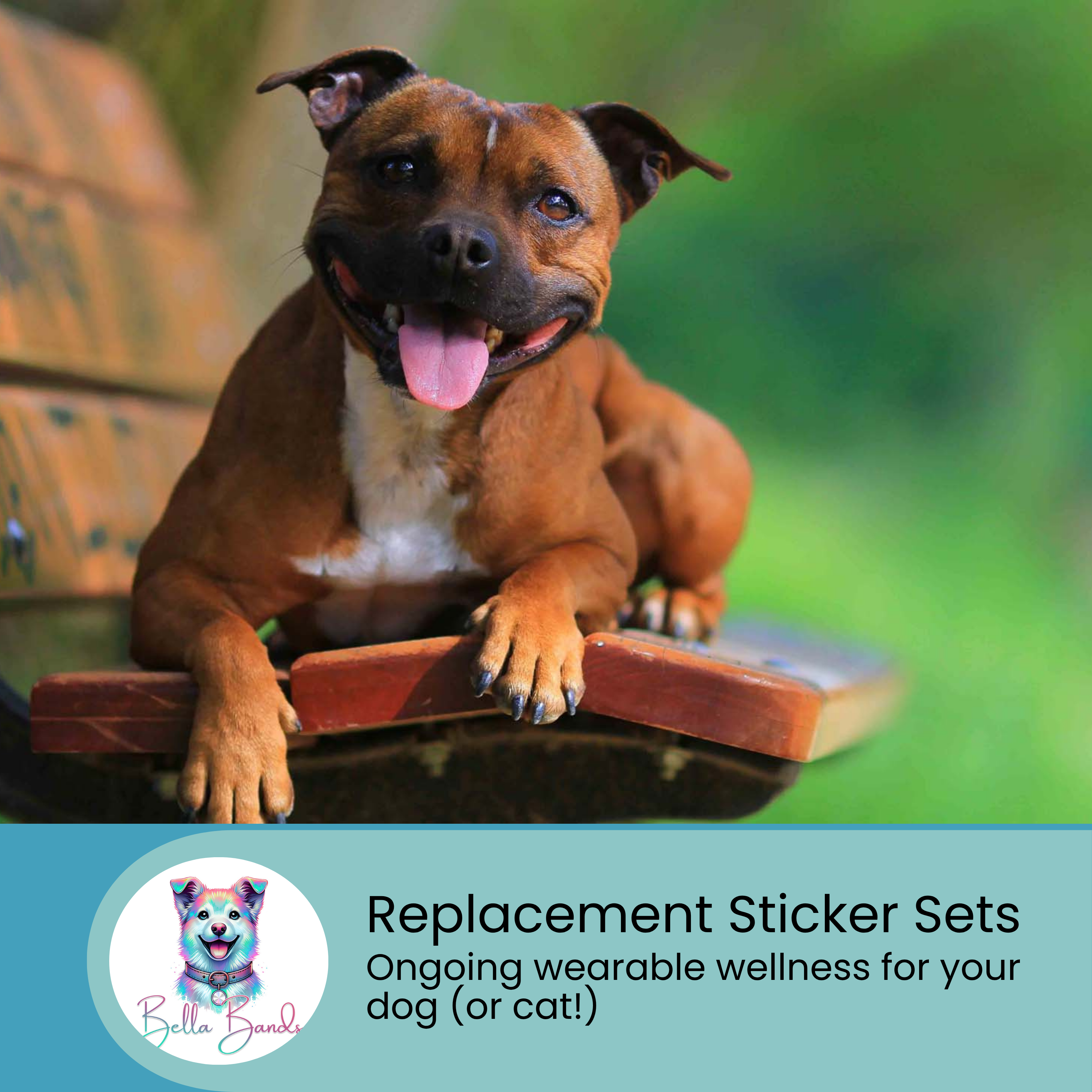 Bella Bands - Replacement Sticker Sets