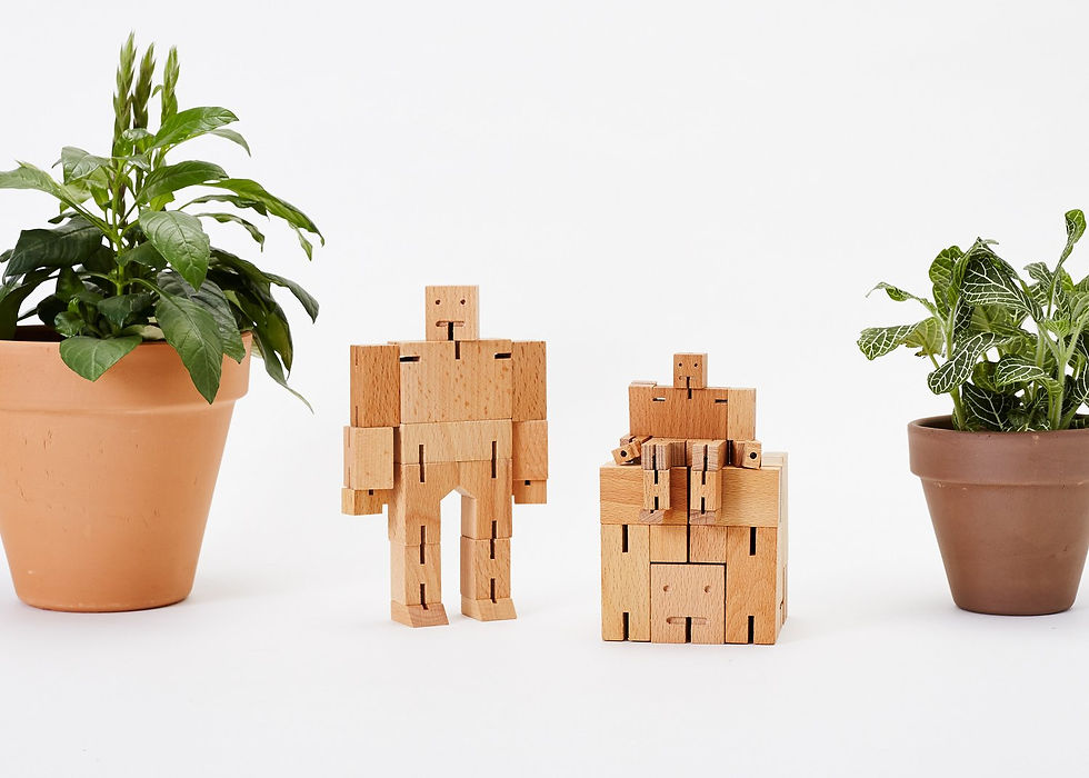 Miniatura: Cubebot Micro