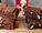 The BROWNIE Battle