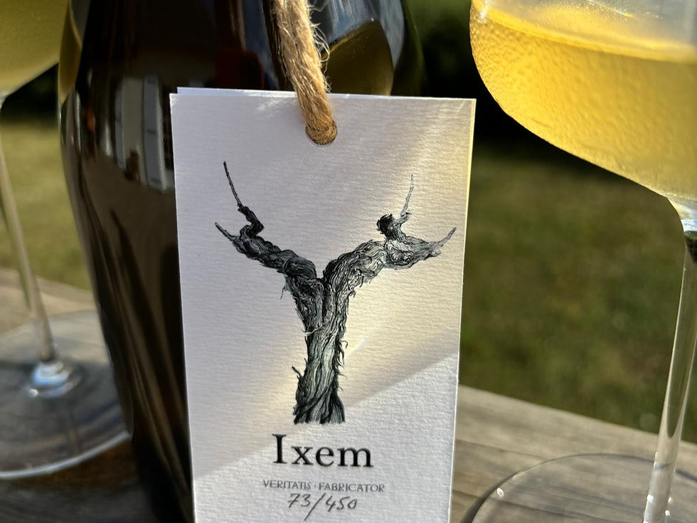 Veritatis Fabricator Ixem 2022 etiquette