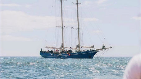 🌊 Discover the Algarve coastline on board the magnificent Condor of Vilamoura ⚓️