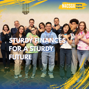 Sturdy Finances for a Sturdy Future