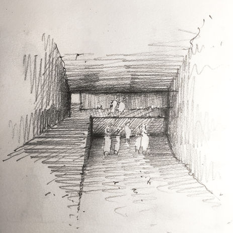 D01.jpg