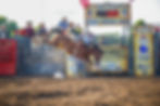 TK Rodeo