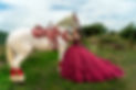 SR304035-Edit-Caballos.jpg