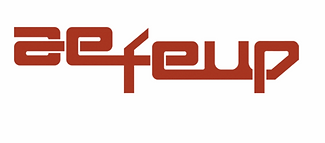 AEFEUP