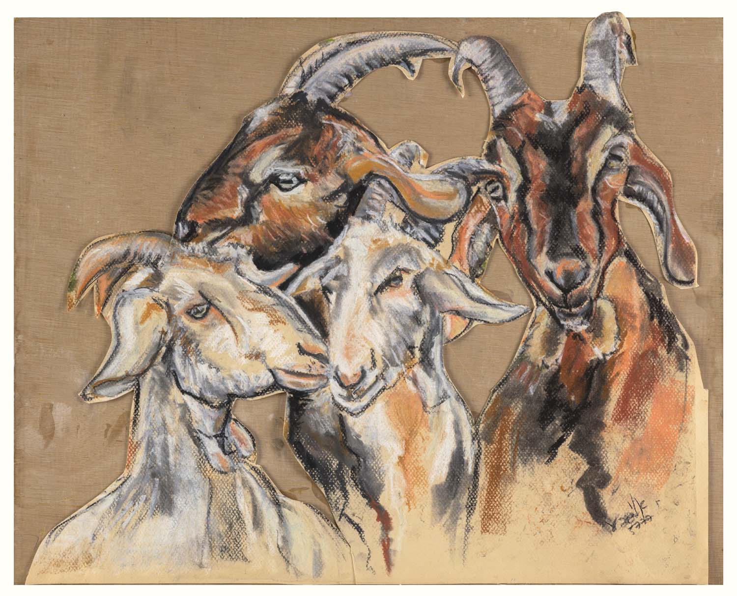 Goats in the Negev