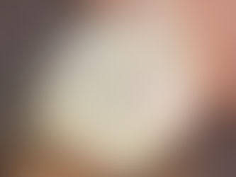 生パックオプション導入しました!