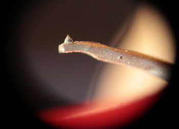A dirty record player needle in extreme magnification.