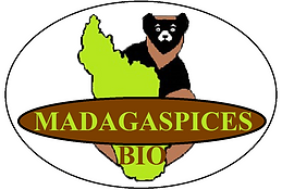 MAKIBIO3_edited.png