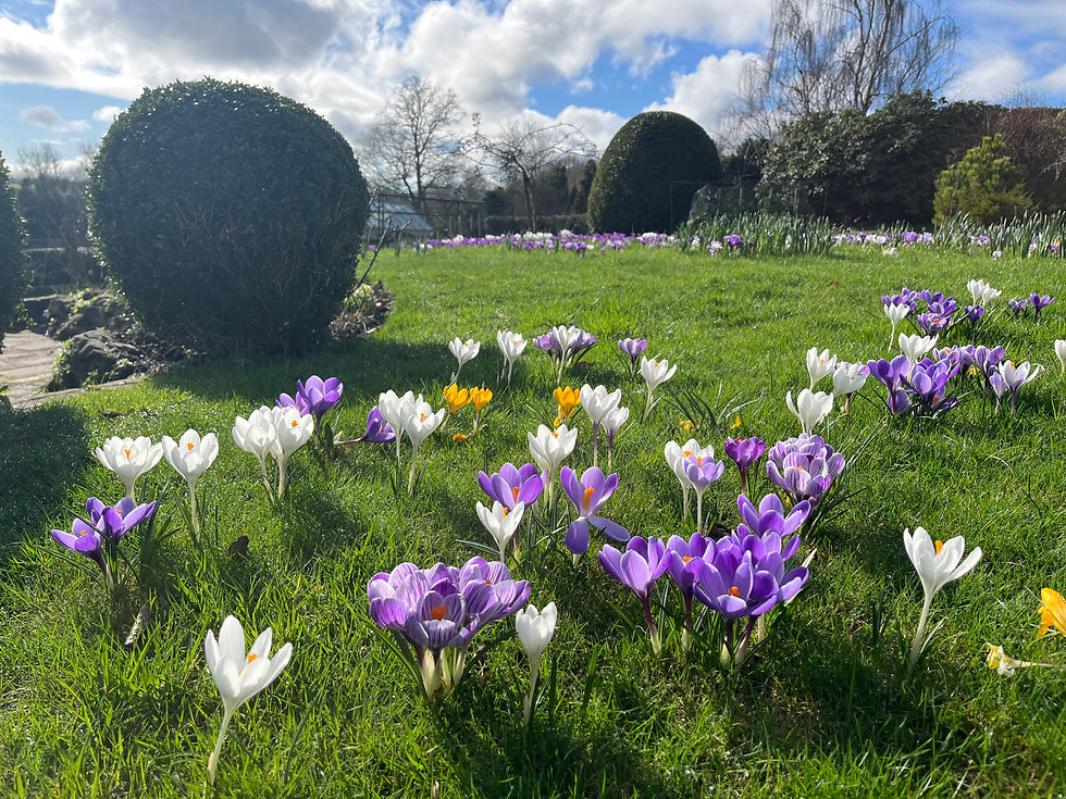 Chris Brown - Designer of Highlands Garden near Uckfield