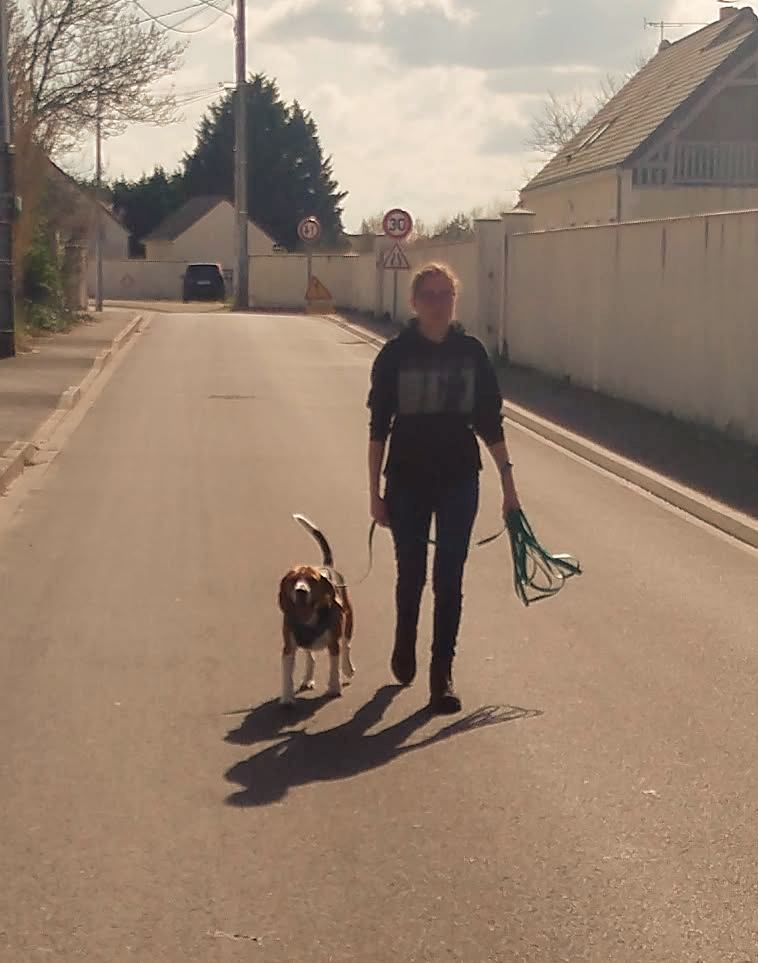ballade du chien