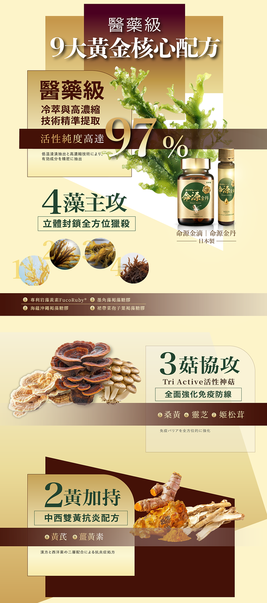 抗頑專家-命源金滴、命源金丹|醫藥級 9天黃金核心配方:四種褐藻糖膠、桑黃、靈芝、姬松茸、黃芪、薑黃素