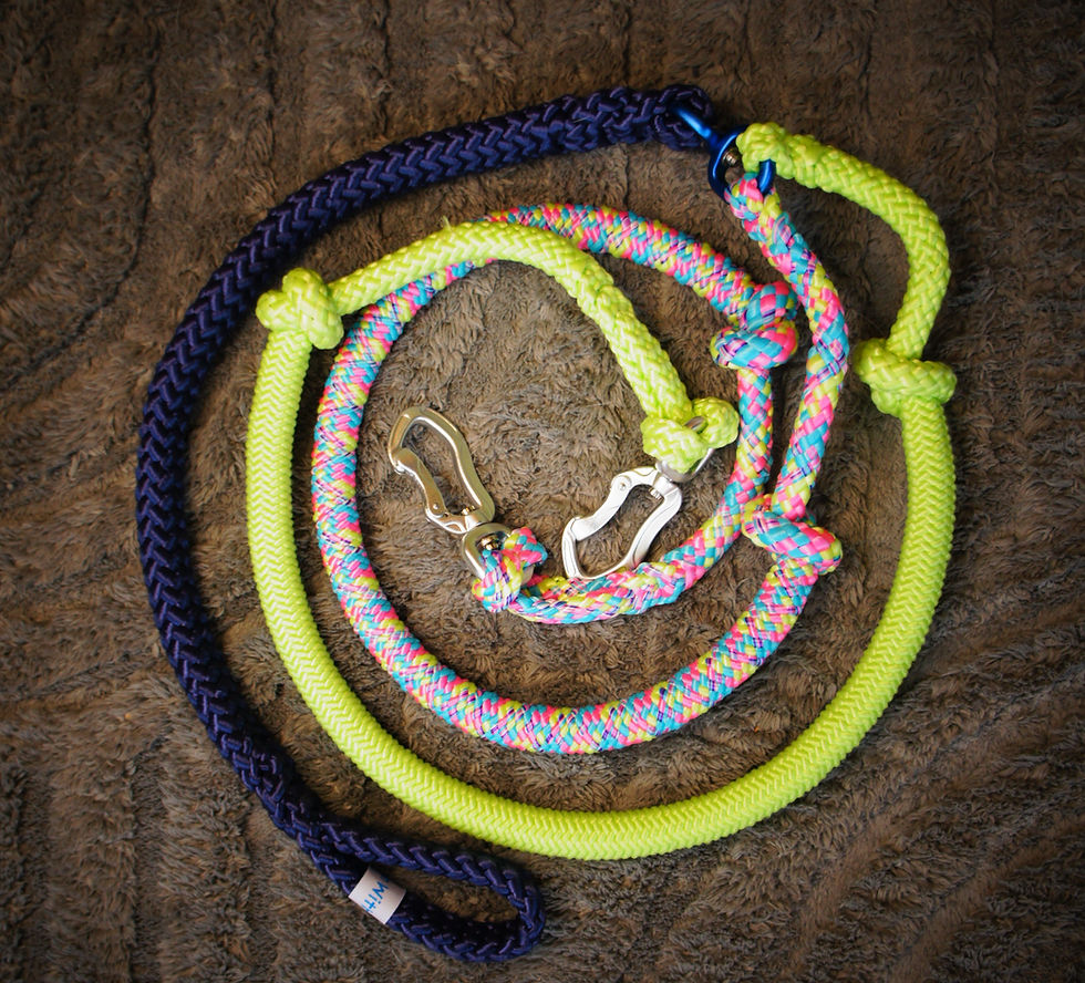 Thumbnail: Custom Bungee Line - 2 DOG