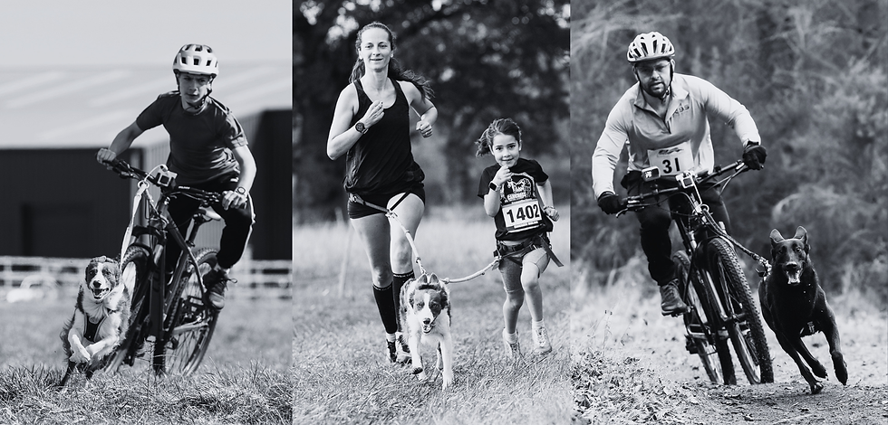 Where Dogs and Humans Run as One (25 x 12 cm).png