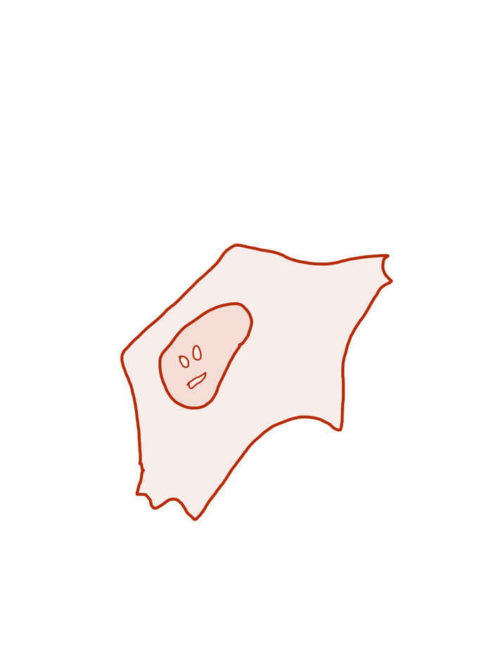 "HyLa" Initiative