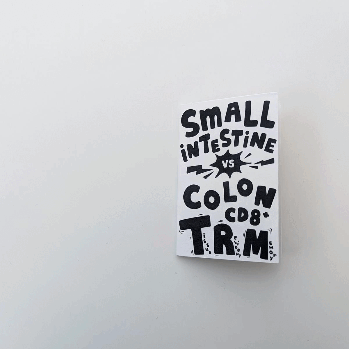 Zine