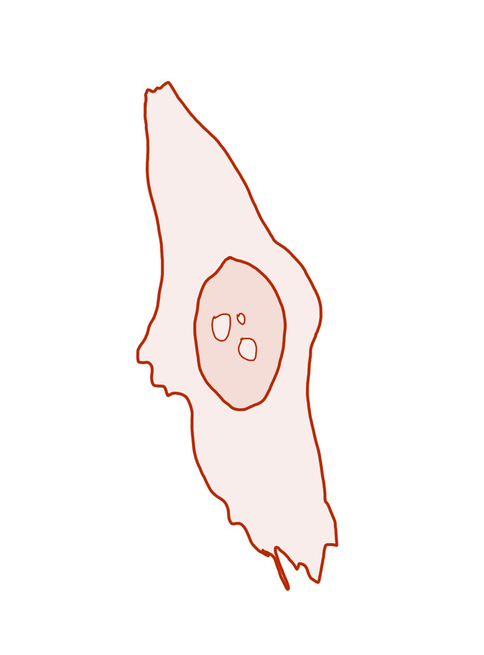 "HyLa" Initiative