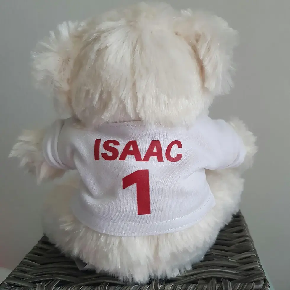 Thumbnail: Arsenal Personalised White Teddy Bear