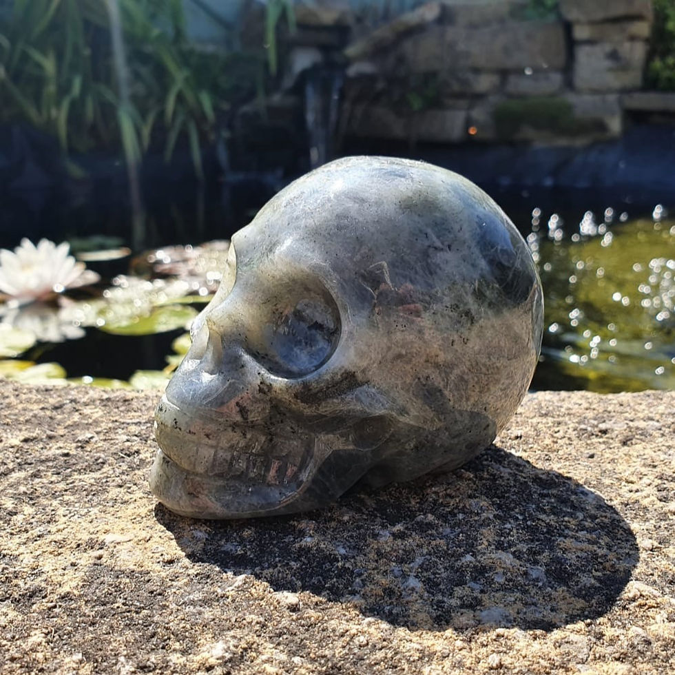 Thumbnail: Large Labradorite Skull