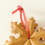 Miniature : Étoile de Noël no.2