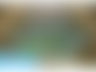 Japanse architectuur: lagen en leegte