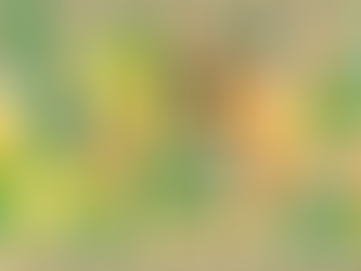 Pionieren in Winkelsteeg