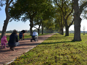 ACN verkent: Audiotour Park Lingezegen