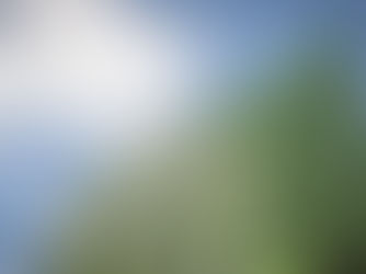 Terugblik: ACN college 'Stedelijke identiteit' deel I