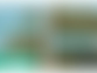 Rondleiding Indische Buurt