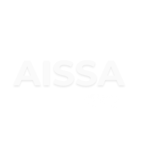 AI Safety Standards-4.png