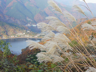 大きな『秋』見つけたPART1