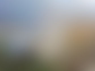 大きな『秋』見つけたPART1