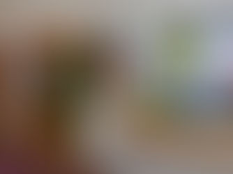 ありがとうございました。